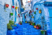 A beautiful blue alley with stairs and different and colorful flower pots in a Moroccan town called Chefchaouen, the city of Instagram.
