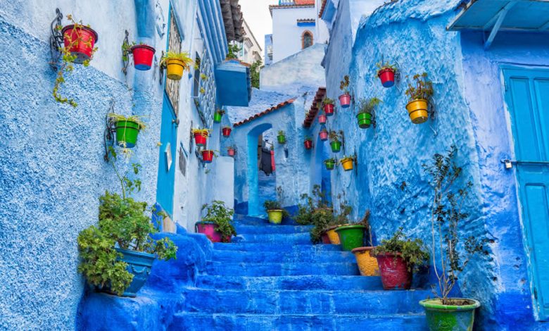 A beautiful blue alley with stairs and different and colorful flower pots in a Moroccan town called Chefchaouen, the city of Instagram.