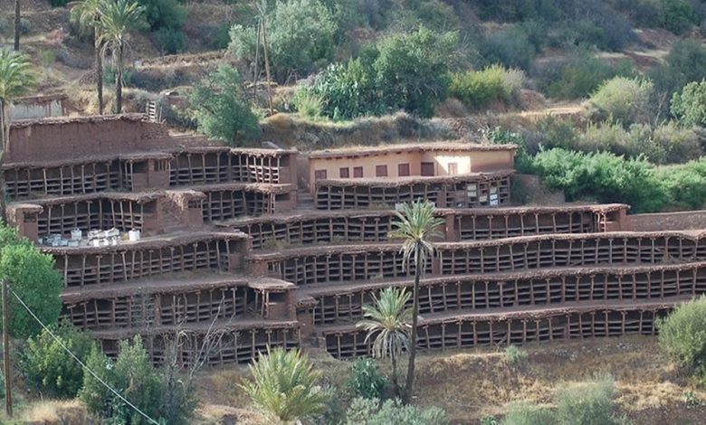 The largest traditional apiary in the world located in the Souss, in the Agadir region, in Morocco.