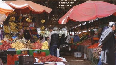 Merchants who sells fresh and generous quantities of fruit and vegetables in the biggest souk in Africa, in Agadir, called Souk El Had