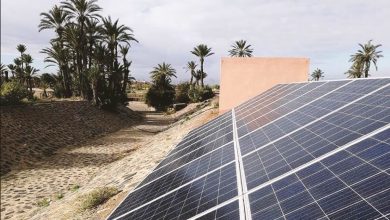 A solar panel in Morocco with some palm trees in the background