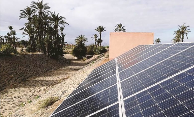A solar panel in Morocco with some palm trees in the background