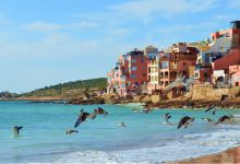 A beautiful and colorful city of Morocco by the sea on a warm sunny day with some seagulls flying in the sky near the beach
