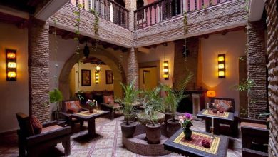A beautiful Moroccan riad with some Moroccan furnitures and ithems, and some decorative plants