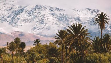 Beautiful Montain view and palm trees of Morocco