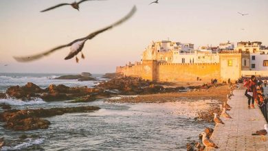 Beautiful Moroccan coast, at sunset, with some tourists taking pictures, and seagulls flying around.