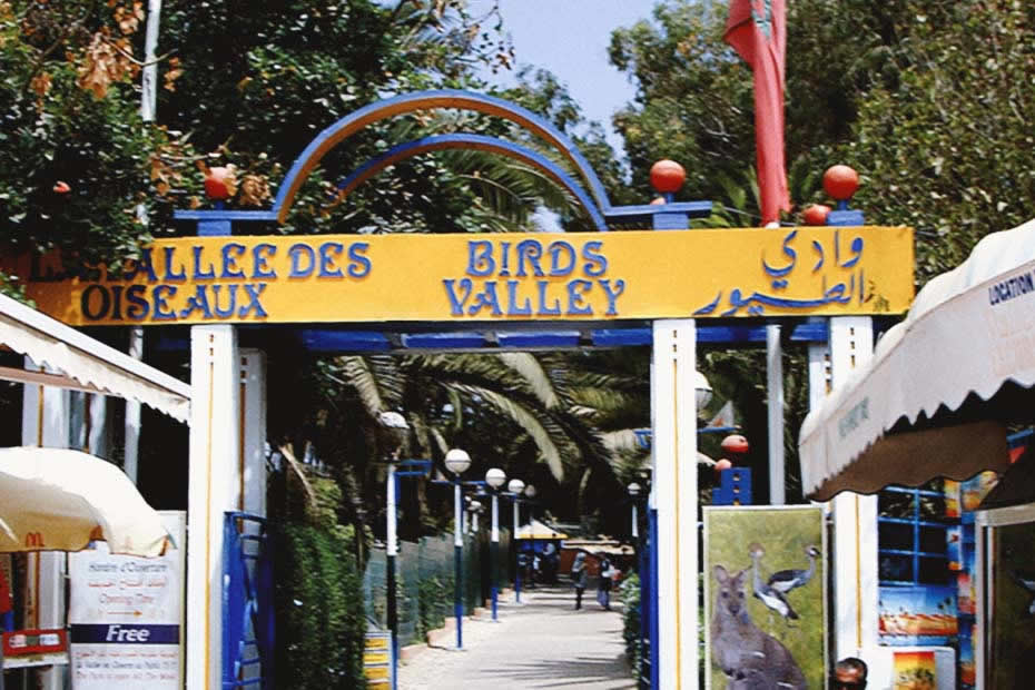 Visit Agadir's Birds Valley 