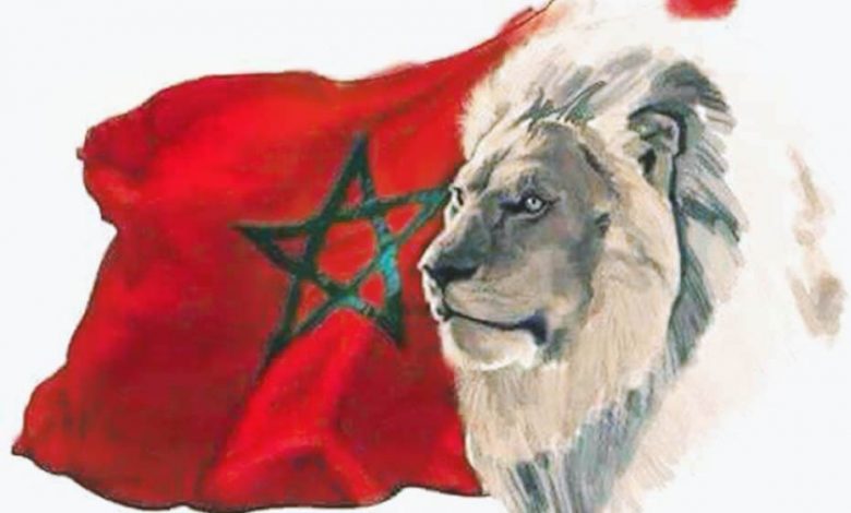 The Moroccan flag and the lion of atlas: Morocco against coronavirus (Covid-19)