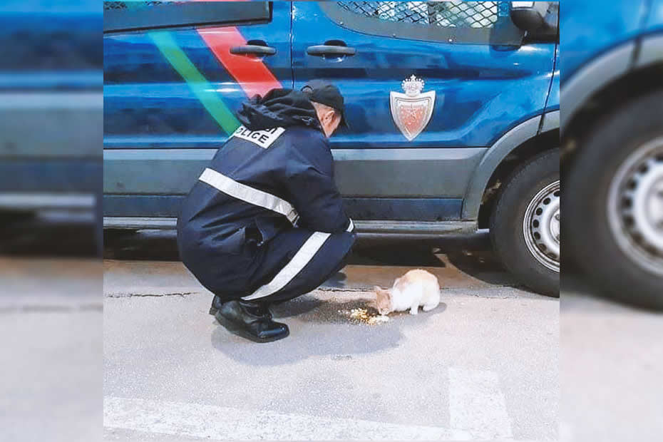 Moroccan police man given food to homeless cats because of the covid-19 pandemic