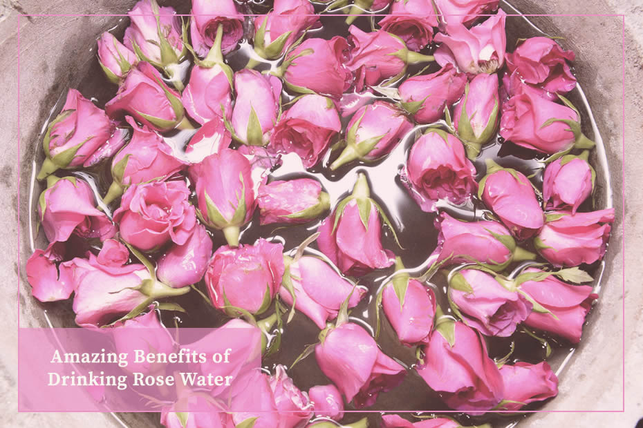 rose buds floating on rose water