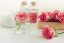 one rose in a glass of water surrounded by other roses