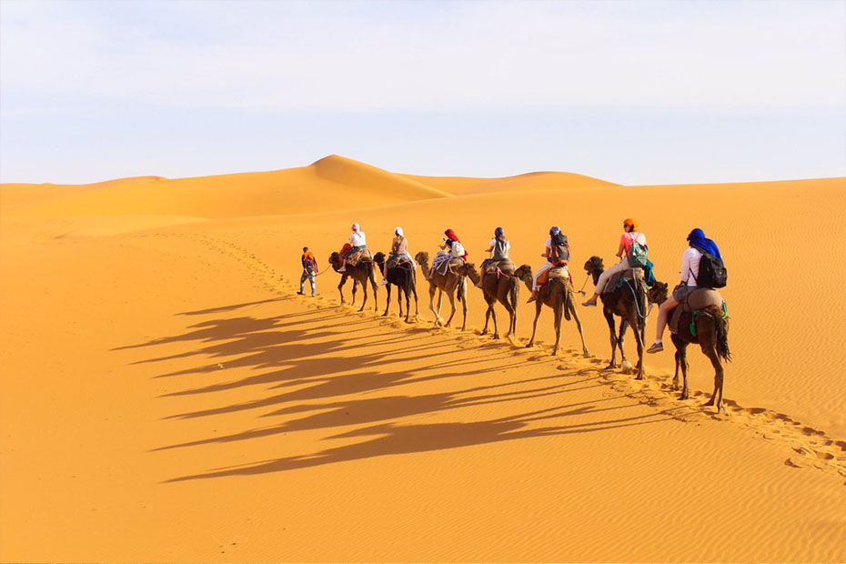 camel rides- foreigners riding camels in the desert of Morocco